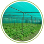 Greenhouse net