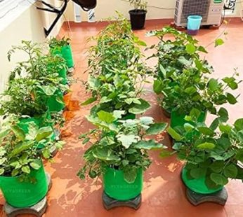 YUVAGREEN Premium Grow Bags for Terrace Gardening Vegetables & Flowers| Round Shaped Green Colour Grow Bag | Suitable for Terrace Gardening| Kitchen Gardening & Balcony (4, 9×9 INCH)