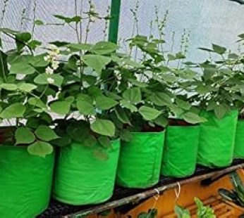 YUVAGREEN Heavy Duty Terrace Gardening Leafy Vegetable Green Grow Bag (18″ X 12″)- (Pack Of 4), 30 Cm, 45 Cm