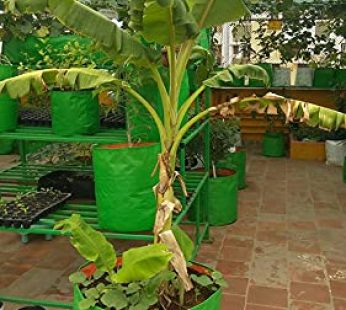 Click to see full view  YUVAGREEN Terrace Gardening Leafy Vegetable HDPE Green with Orange UV Treated Grow Bags 18″ Dia x 18″ Height, Pack of 4