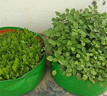 YUVAGREEN Green with Orange 200 GSM UV Treated Grow Bags for Terrace Gardening 15″x9″ Pack of 4