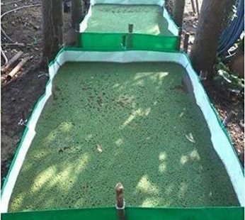 YUVAGREEN HDPE AZOLLA Bed 12′ Length x4′ Width x1′ Height (Pack of 1), Green, 12 x 4 Inch