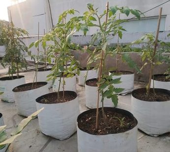 YUVAGREEN Terrace Gardening UV Treated Poly Grow Bags (White Outside, Black Inside 20 x 20 x 35 Cm -10 Bags)