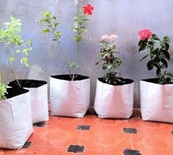 YUVAGREEN LDPE Poly Grow Bags with Flower Plant (White, 24x24x40 cm) – Pack of 10.